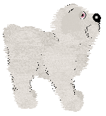 Profile image of Cargo/King's Polar Expedition