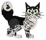 Witz's Come Back Soon — “Construction”