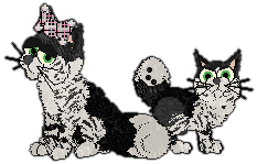 Profile image of Witz's Come Back Soon