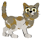 Spellbound/Witz's Brown Butter Bakery — “Pecan Blondie”