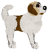 Profile image of Retro's Crash Status @ Mockingbird