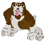 Echelon's Garters and Fishnets @ Mockingbidd — “Crater”