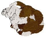 Echelon's Garters and Fishnets @ Mockingbidd — “Crater”