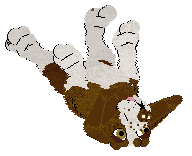 Echelon's Garters and Fishnets @ Mockingbidd — “Crater”