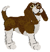 Profile image of Echelon's Garters and Fishnets @ Mockingbidd