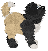 Profile image of Cargo/King's Do Sheepdogs Dream of Normal Sheep?