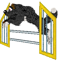 Cirrutopia's Dark Indulgence — “Chocolatte”