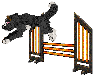 Cirrutopia's Dark Indulgence — “Chocolatte”