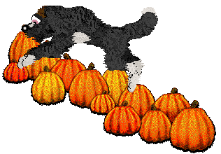 Cirrutopia's Dark Indulgence — “Chocolatte”