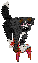 Cirrutopia's Dark Indulgence — “Chocolatte”