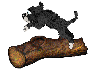 Cirrutopia's Law & Order — “Carisi”