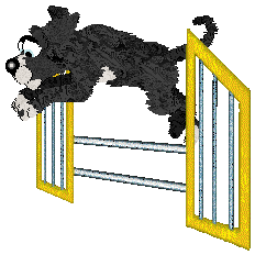 Cirrutopia's Law & Order — “Carisi”