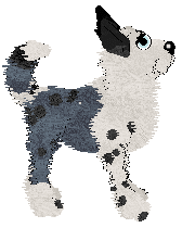 HAL/APK's Eternal Halcyon — “Angelfire”