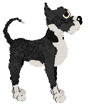 Mockingbird/APK's Porcelain Black — “Coffinshade”