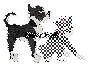 Profile image of Mockingbird/APK's Porcelain Black