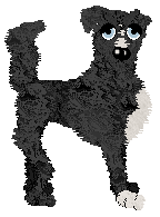 Cirrutopia's Immortal Invisible — “Invisible”