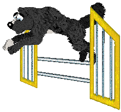 Cirrutopia's Immortal Invisible — “Invisible”