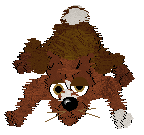 Xoops/Mockingbird's Soft As A Kitten — “Whispinose”