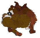 Xoops/Mockingbird's Soft As A Kitten — “Whispinose”