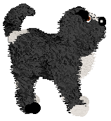 Profile image of Nostalgic/King's I Got Into a Fight Again