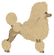 Echelon's Gilded Age — “Lacey”