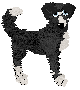 Cirrutopia's If You Believe — “Lizzie”