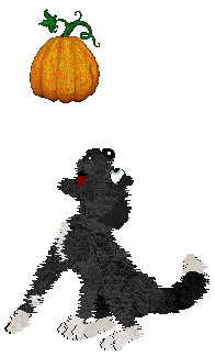 Cirrutopia's If You Believe — “Lizzie”