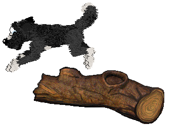 Cirrutopia's If You Believe — “Lizzie”