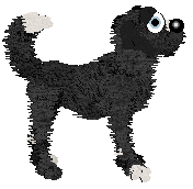 Cirrutopia's Lightning Strikes — “Blitz”