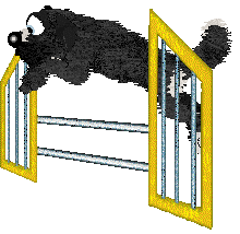 Cirrutopia's Lightning Strikes — “Blitz”