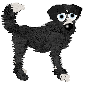 Cirrutopia's Lightning Strikes — “Blitz”