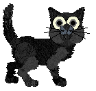 Tangle's O Prună Coaptă — “Bucharest”