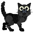 Tangle's O Prună Coaptă — “Bucharest”