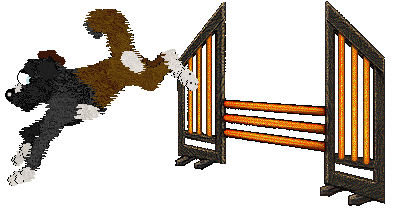 Cirrutopia's Battle Royale — “Fortnite”