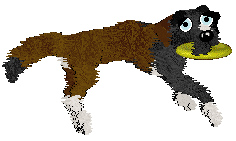 Cirrutopia's Battle Royale — “Fortnite”