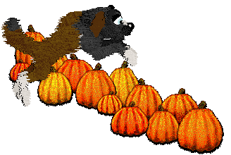 Cirrutopia's Battle Royale — “Fortnite”