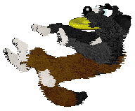 Cirrutopia's Battle Royale — “Fortnite”