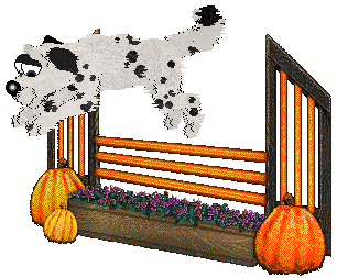 Cirrutopia/Elfland’s Dot from Heaven — “Dottie”