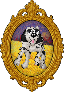 Profile image of Cirrutopia/Elfland’s Dot from Heaven