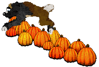 Cirrutopia Galaxy Freeze @ Mockingbird — “Cosmo”