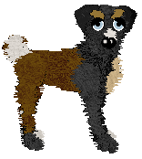 Cirrutopia Galaxy Freeze @ Mockingbird — “Cosmo”