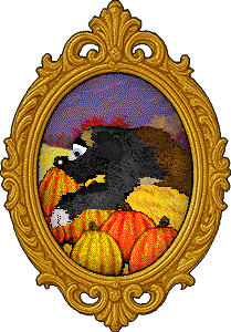 Profile image of Cirrutopia Galaxy Freeze @ Mockingbird