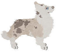 Spellbound/APK's An Angel In Shattered Glass — “Ellie”