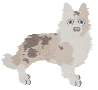 Spellbound/APK's An Angel In Shattered Glass — “Ellie”