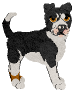 Ferality/Beefy'z Split The Bill — “Dutch”