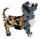 Perfume’s Tortoise in the Mist at Poppyhill — “Turtleneck”