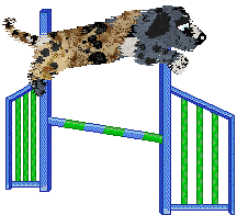 Perfume’s Tortoise in the Mist at Poppyhill — “Turtleneck”