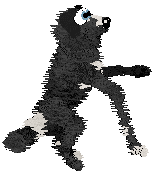 Witz/Poppyhill's Gnome Sweet Gnome — “Gnome”