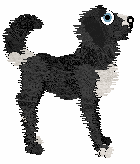 Witz/Poppyhill's Gnome Sweet Gnome — “Gnome”