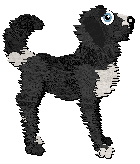 Profile image of Witz/Poppyhill's Gnome Sweet Gnome